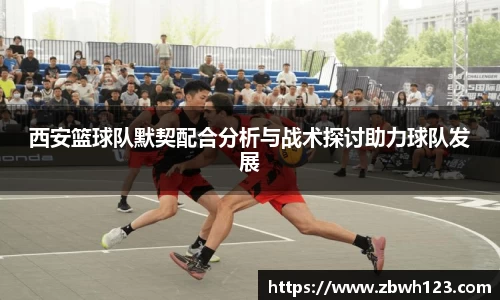 西安篮球队默契配合分析与战术探讨助力球队发展